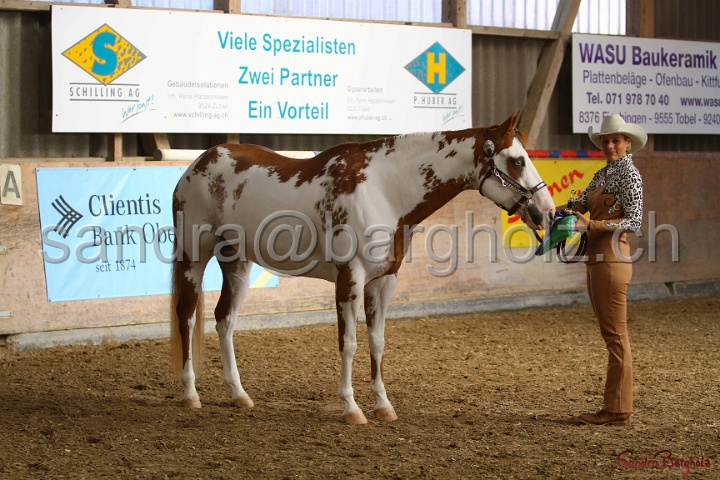 23-APHA SS_080.jpg